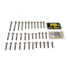 Pro-Bolt st. steel engine bolt kit (for GB-Racing covers) YZF-R1 15>
