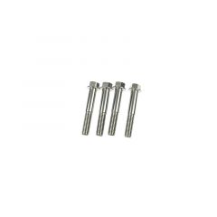 Pro-Bolt stainless steel front caliper mounting bolt kit (4 pieces) M10x55mm